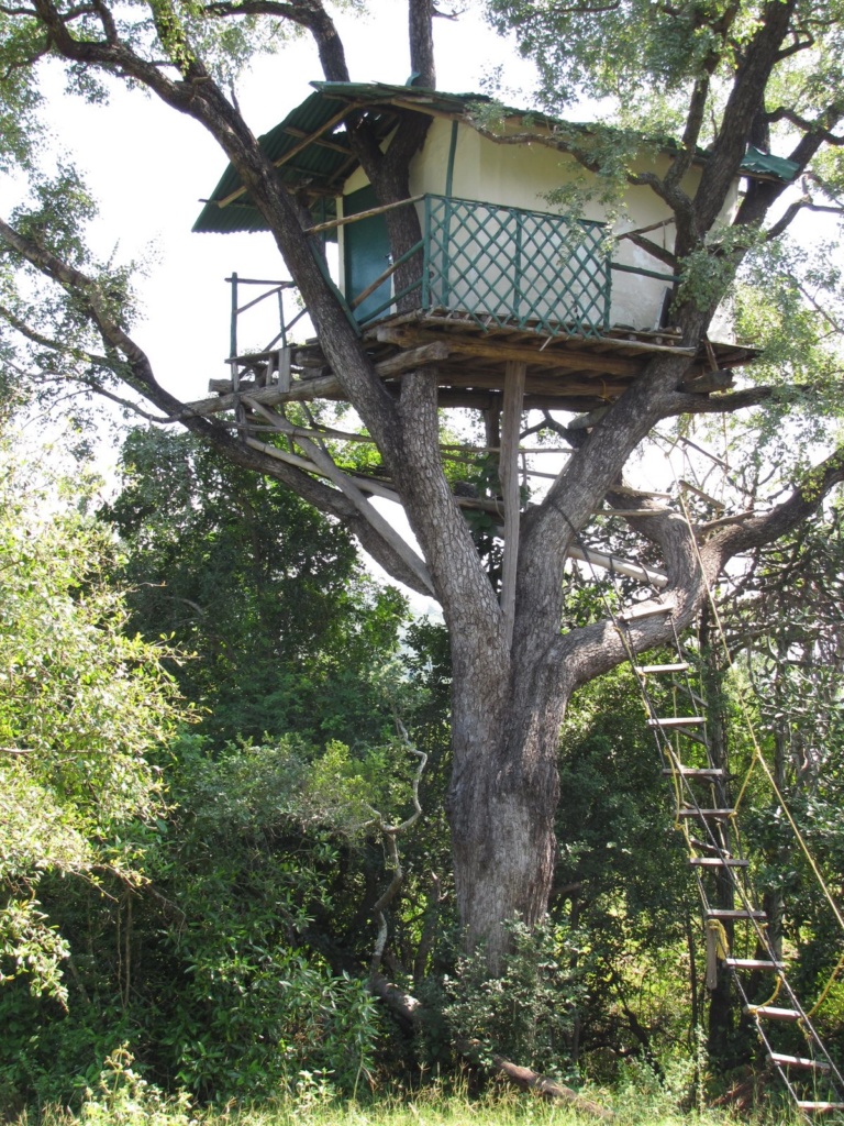 TREE HOUSE ,earumadam