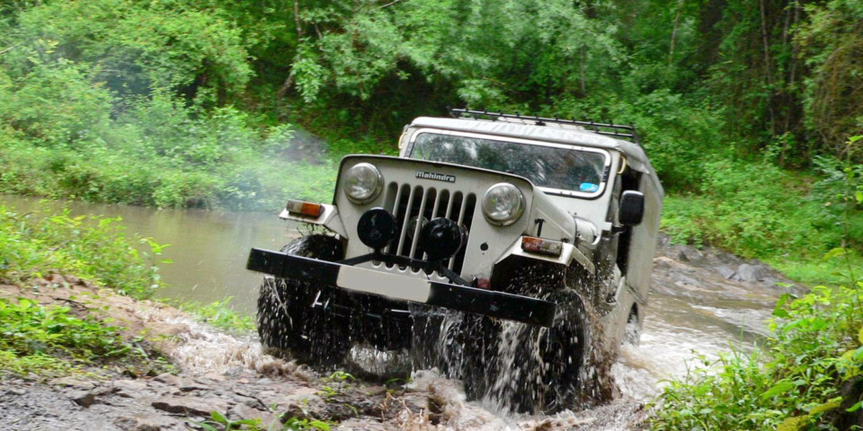 Jungle jeep Safari