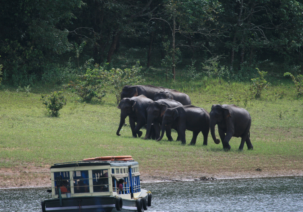 thekkady boating1