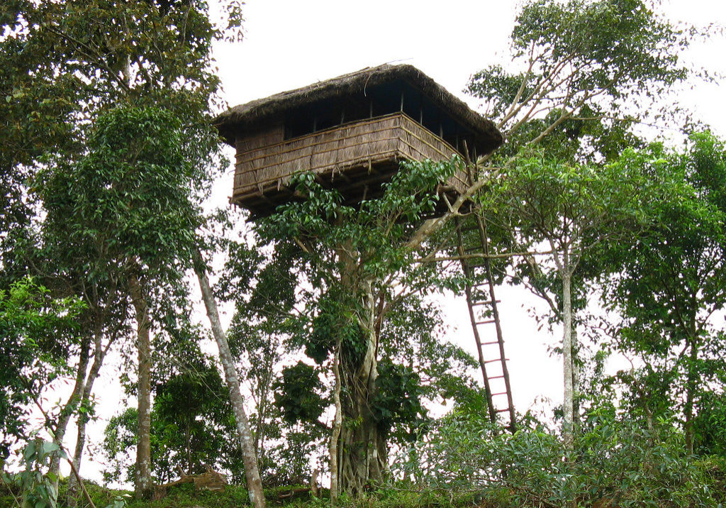 tree house 10