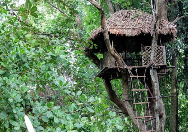 tree house 8