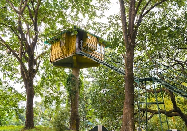 tree house6